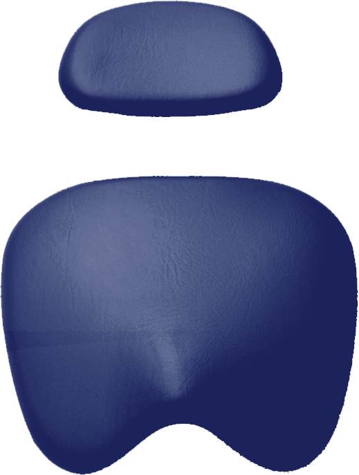 Polsterset KaVo Physio 5005 Arbeitsstuhl Ultradent / Mikrona saphierblau 5003
