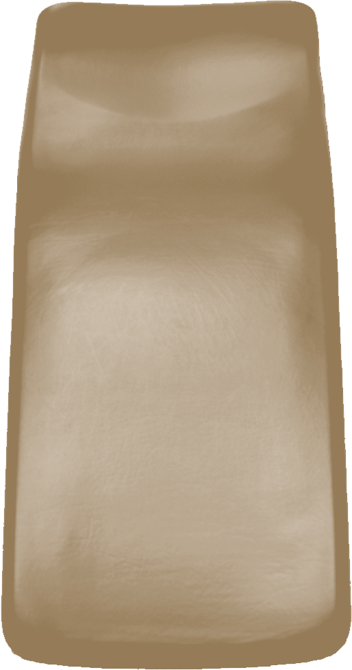 SIEMENS Sirona M1 (+) / C-Serie (+) Sitzpolster KaVo cashmere RELAXLine