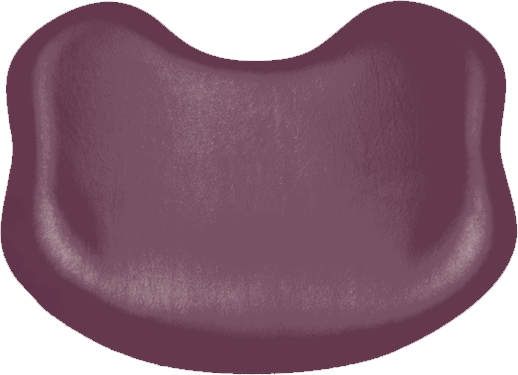 Rückenpolster-Soft Comfort KaVo Estetica E70 / E80 KaVo beet
