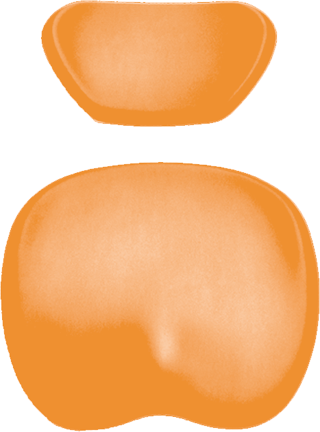 Polsterset KaVo Physio Evo / One Arbeitsstuhl KaVo orange 59