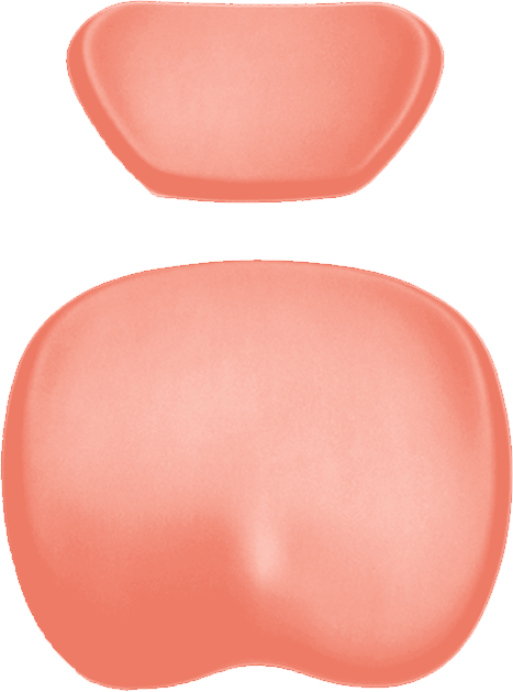 Polsterset KaVo Physio Evo / One Arbeitsstuhl Ultradent / Mikrona lachsorange 7791