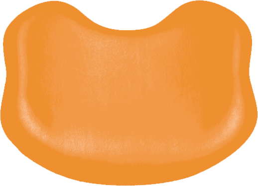 Rückenpolster-Soft Comfort KaVo Estetica E70 / E80 KaVo orange 59