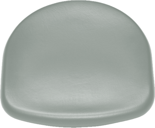 Sitzpolster Sirona C Arbeitsstuhl KaVo agave RELAXLine