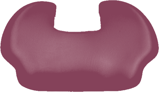 SIEMENS Sirona M1 (+) / C-Serie (+) Rückenpolster schmal mit motorischer Kopfstütze Sirona merlot